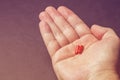 two red pills in a man's hand close-up. the concept of treatment Royalty Free Stock Photo