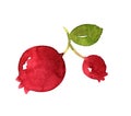 Two red pomegranate fruits. Watercolor