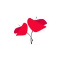 Two Red poppy flowers isolated on white. Wild scarlet bloom. Vector illustration Royalty Free Stock Photo