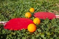 Two red rackets and four orange table tennis balls lie on the green grass Royalty Free Stock Photo