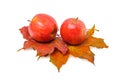 Two red ripe apples is on the red colorful maple leaves Royalty Free Stock Photo