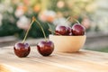 Two red ripe cherries berries standing on wooden table on background of flower bushes next to bowl of sweet cherries Royalty Free Stock Photo