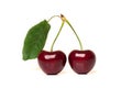 Two red ripe cherries with stems and a leaf on white background Royalty Free Stock Photo