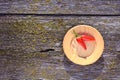 Two red hot chili peppers in wooden plate on old background Royalty Free Stock Photo