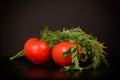 Two red ripe tomatoes and a bunch of fresh greens in drops of water lie on the table on a dark background Royalty Free Stock Photo