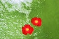 Two red rose blossoms in a water basin