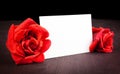 Two red roses and blank gift card for text on old wood background Royalty Free Stock Photo