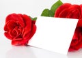Two red roses and blank gift card for text on white background Royalty Free Stock Photo
