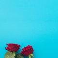 Two red roses on a blue square background
