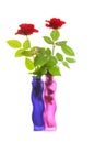 Two red roses in colorful vases Royalty Free Stock Photo
