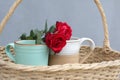 Two red roses on couple cups of tea or coffee in a wooden rattan basket on blue background. Relationship and valentine day concept