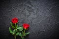 Two red roses on a dark, black stone background. Place for text Royalty Free Stock Photo
