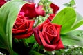 Two red roses decoration flowers bouquet