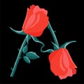 Two red roses form the letter A on a black background