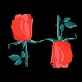 Two red roses form the letter H on a black background