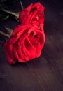 Two red roses on old wood, old style, background, valentine day and love concept Royalty Free Stock Photo