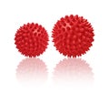 Two red spiny massage balls isolated on white. Concept of physiotherapy or fitness. Closeup of a colorful rubber ball