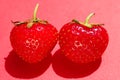 Two red strawberries on a pink background. Food, dessert, color concept. Royalty Free Stock Photo