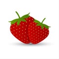Two red strawberries vector illustration