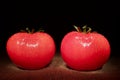 Two red tomatoes on black background Royalty Free Stock Photo