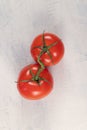 Two red tomatoes on a green branch on a white stone background. Ripe, fresh, juicy tomatoes. Copy space Royalty Free Stock Photo