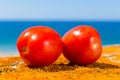 Two red tomatoes with sea and sky Royalty Free Stock Photo