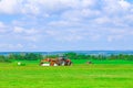 Two red tractors with a large mower in a field under a blue sky mow the grass. Haymaking, silage harvesting. Royalty Free Stock Photo