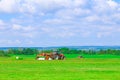 Two red tractors with a large mower in a field under a blue sky mow the grass. Haymaking, silage harvesting.