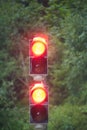 Two red traffic lights with green background Royalty Free Stock Photo
