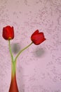 Two red tulip flowers in vase on pink. Royalty Free Stock Photo