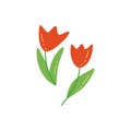 Two red tulips. Colorful vector doodle hand drawn Royalty Free Stock Photo