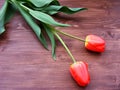 Two red tulips on a wooden background with copyspace Royalty Free Stock Photo
