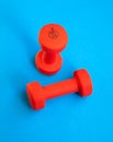 Two red weights 2,5 kg. Royalty Free Stock Photo