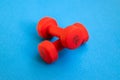 Two red weights 2,5 kg. Royalty Free Stock Photo