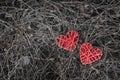 Two red wicker heart, shaped dry dark grass. The contrast of relationships, love and separation. copyspace