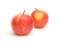 Two red-yellow apples Royalty Free Stock Photo