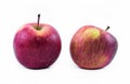 Two red - yellow apples on a white background - front view Royalty Free Stock Photo