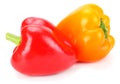 two red and yellow sweet bell peppers isolated on white background Royalty Free Stock Photo