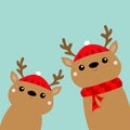 Two reindeer deer head face icon set. Cute cartoon kawaii baby character. Red hat, scarf, nose, horns. Merry Christmas. Happy New Royalty Free Stock Photo