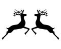 Two reindeer jumping together