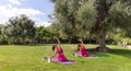 Two barefoot women practicing yoga or stretching in park on summer Royalty Free Stock Photo