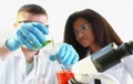 Two researchers are conducting experiments with chemical liquid in laboratory Royalty Free Stock Photo