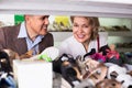 Two retirees together choosing pair of shoes in fashion store Royalty Free Stock Photo