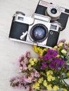 Two retro cameras with flowers on a light wooden background.