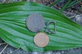 Two retro coins and a piece of an old metal buckle lie on a green leaf