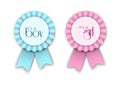 Two ribbon rosettes for newborn baby Royalty Free Stock Photo