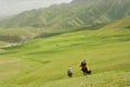 Two riders on horseback go away in the valley between the green mountains Royalty Free Stock Photo