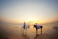 Two riders on horseback at sunset on the beach. Lovers ride horseback. Young beautiful man and woman with a horses at the sea. Royalty Free Stock Photo