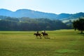 Two riders on the meadow Royalty Free Stock Photo