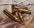 Two different types of bullets, handgun and rifle Royalty Free Stock Photo